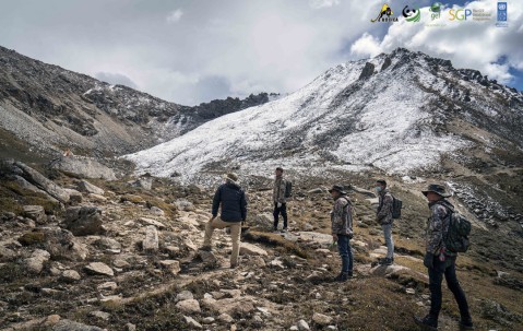 九游体育平台 -包含三湘暴熊队对阵东海雪豹队，电竞公开赛爆冷，门将神扑救主——外援联手发威的词条
